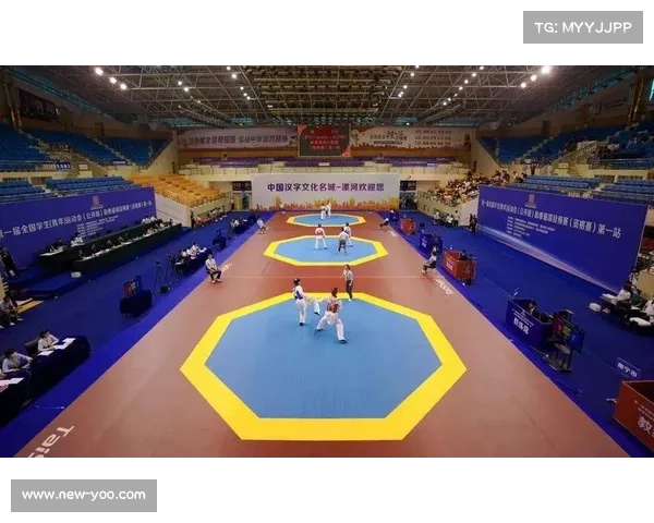 漯河跆拳道赛设立赛后情绪疏导室助力青少年心理健康发展